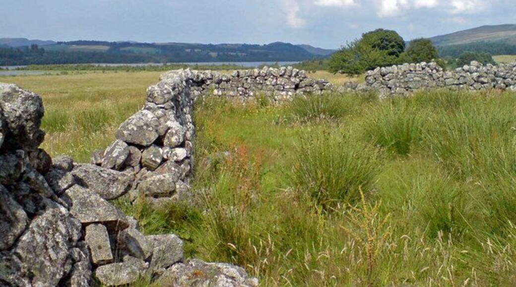 Old Sheep Fank An old dry stone-wall sheep fank (pen) near Ballindalloch above Loch Mhor