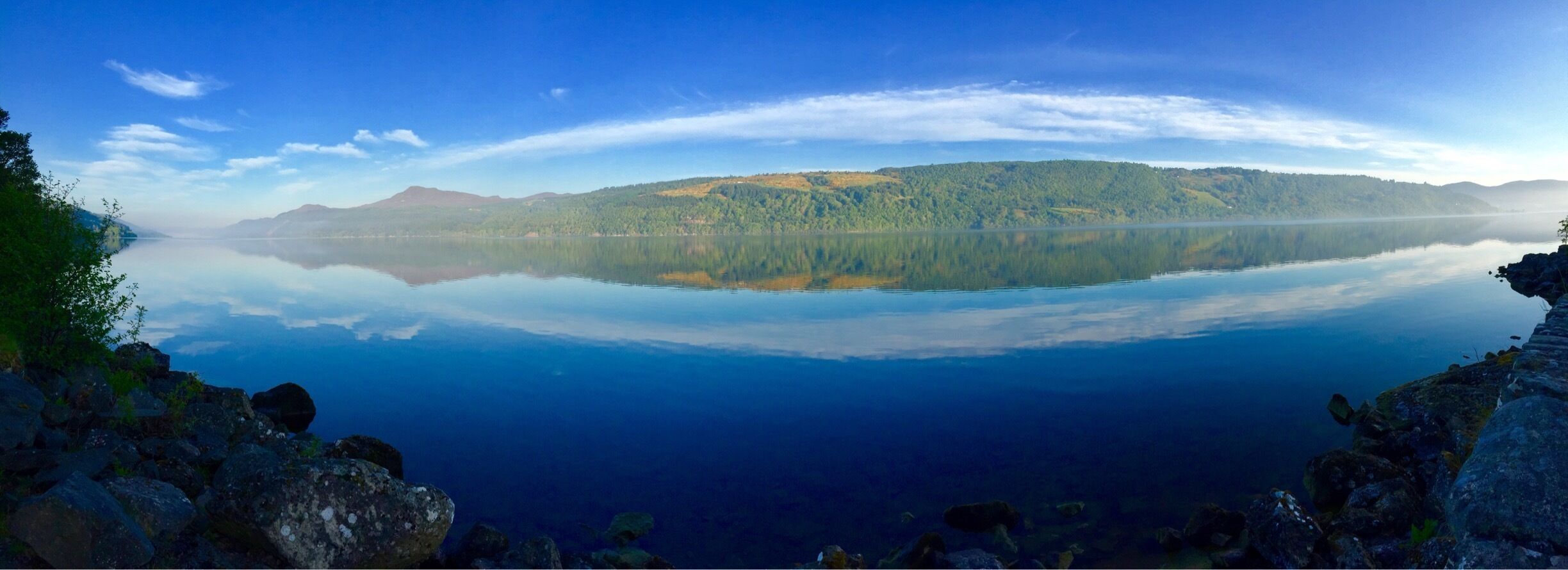 Early morning run, just the deer for company. 