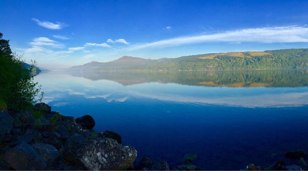 Early morning run, just the deer for company.