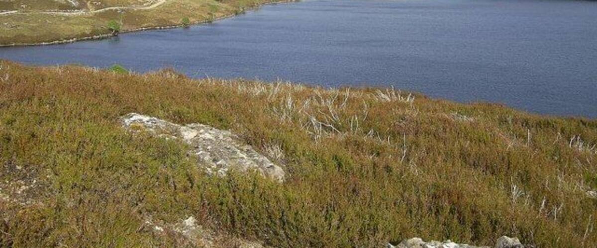 Loch Kemp The east shore of Loch Kemp