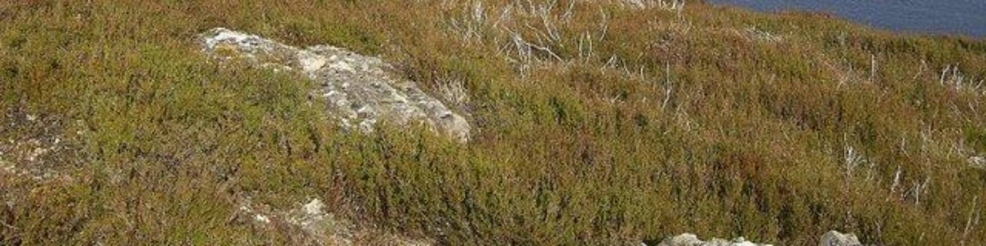 Loch Kemp The east shore of Loch Kemp