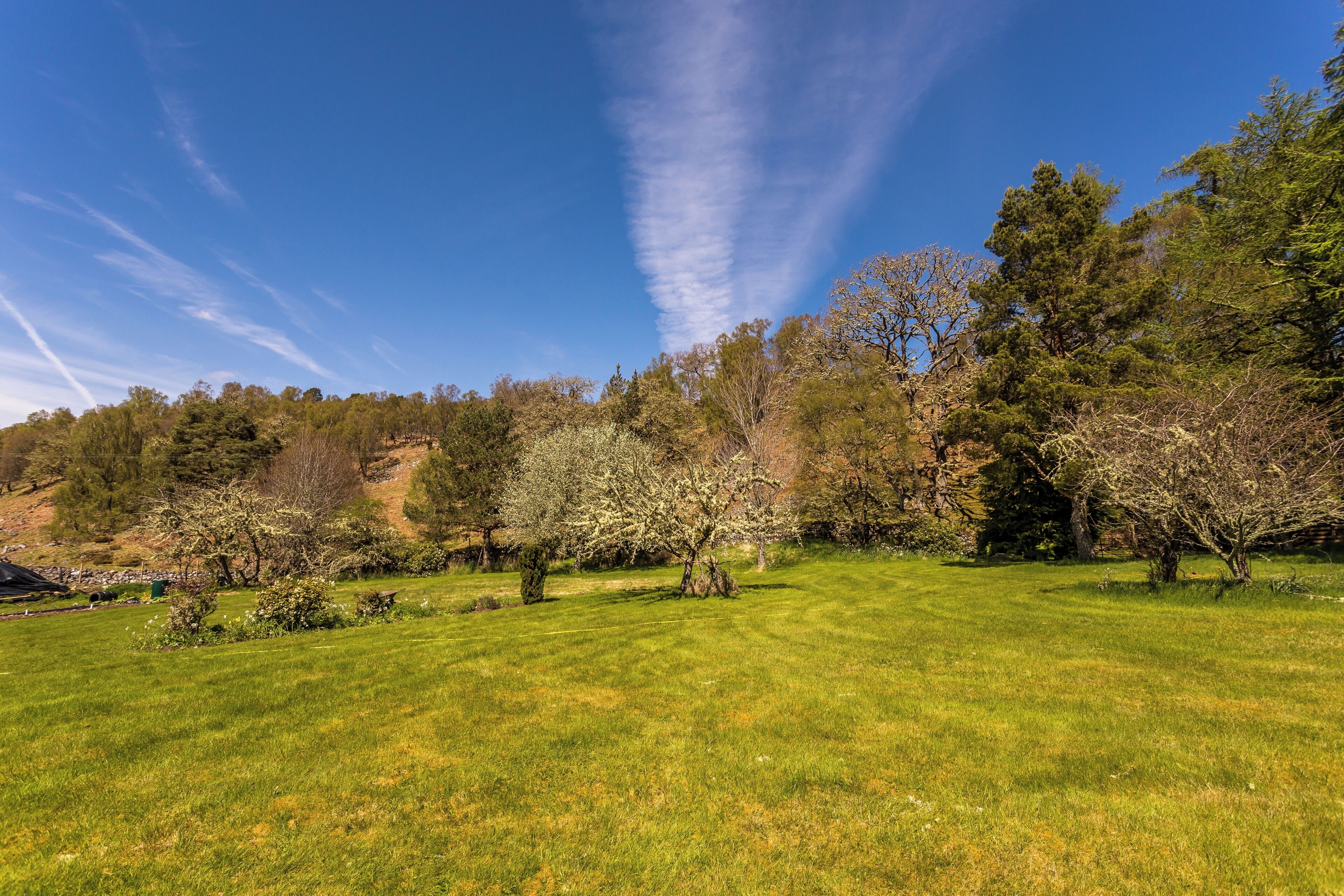 Trees For Life Lodge