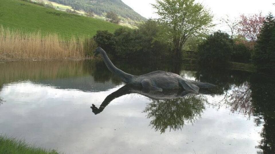 A sculpture of a bird in a pond with a grassy hill and trees in the background.