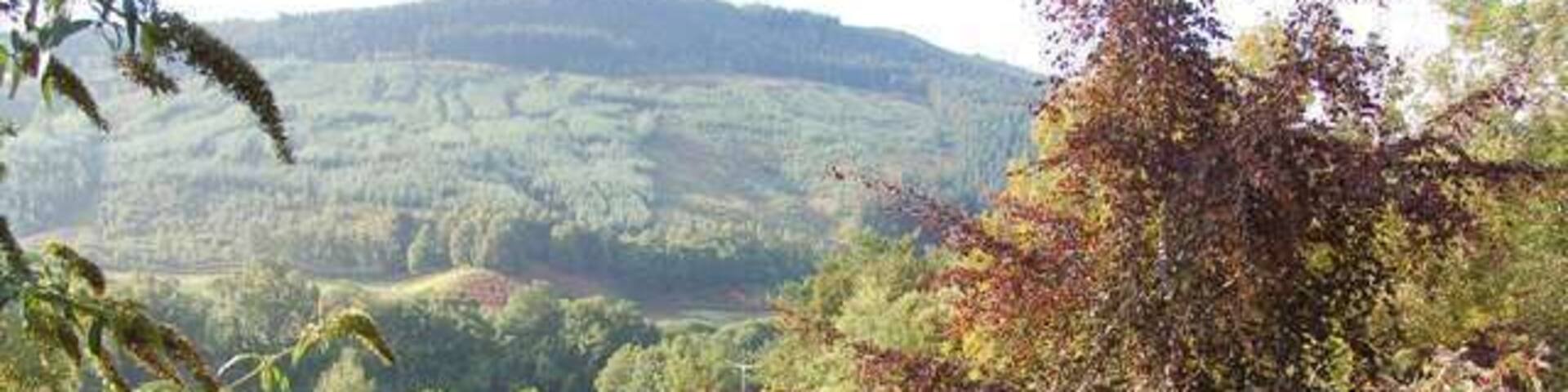 Milton. View from the village over the A831 to the flood plain of the Enrick.