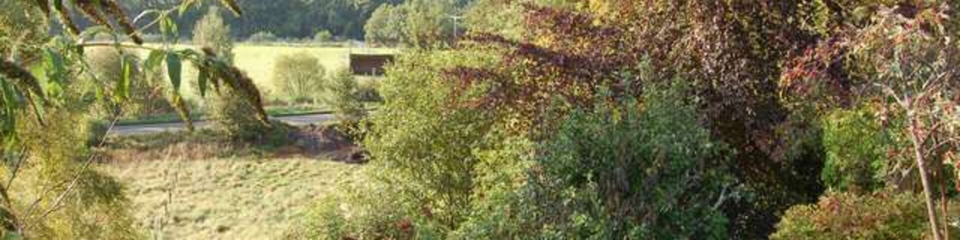 Milton. View from the village over the A831 to the flood plain of the Enrick.