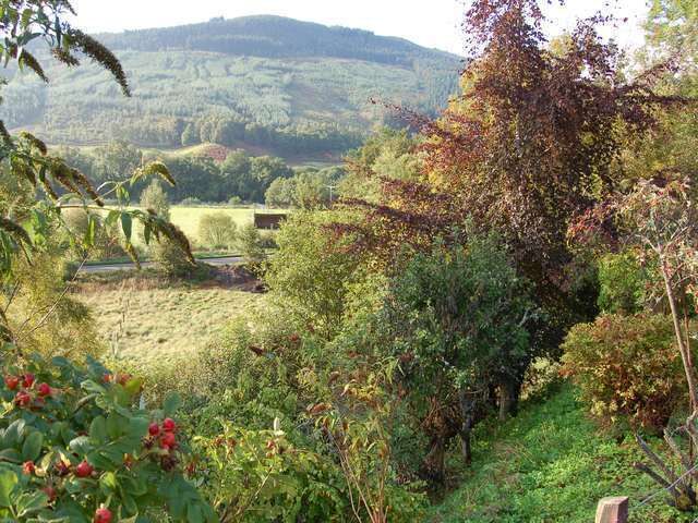 A rural landscape with rolling hills, dense vegetation, and a clear sky.