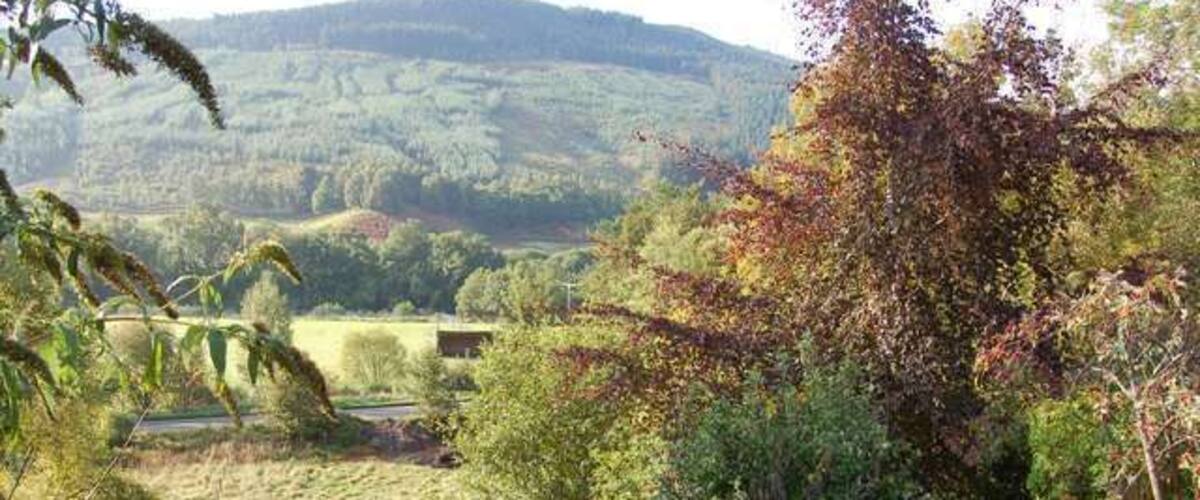 A rural landscape with rolling hills, dense vegetation, and a clear sky.