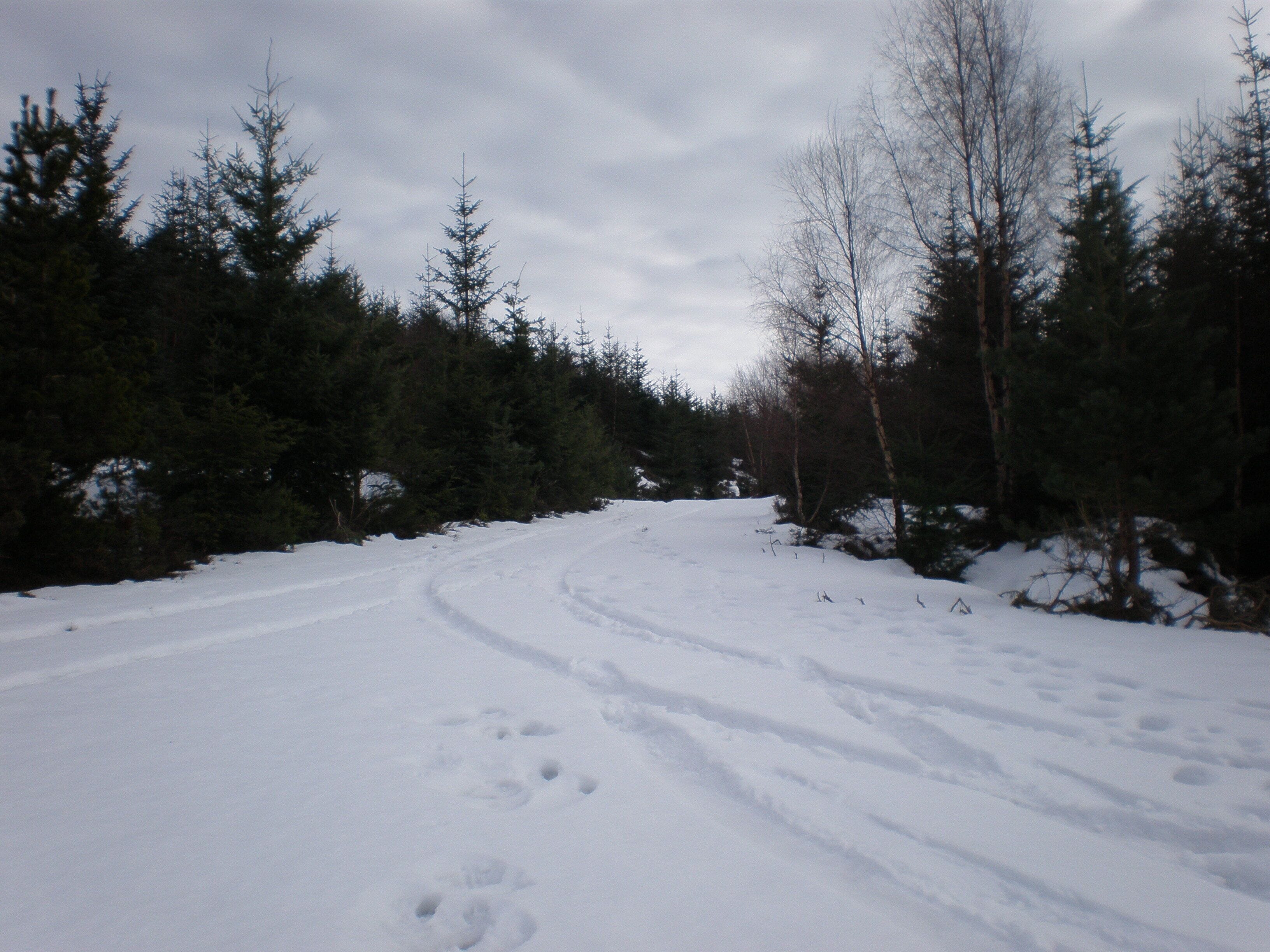 Forestry track junction descending Creag nan Eun