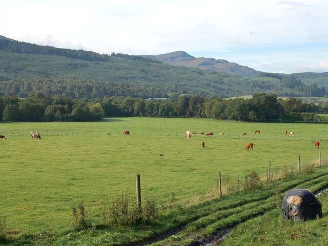Grazings at Kilmartin.