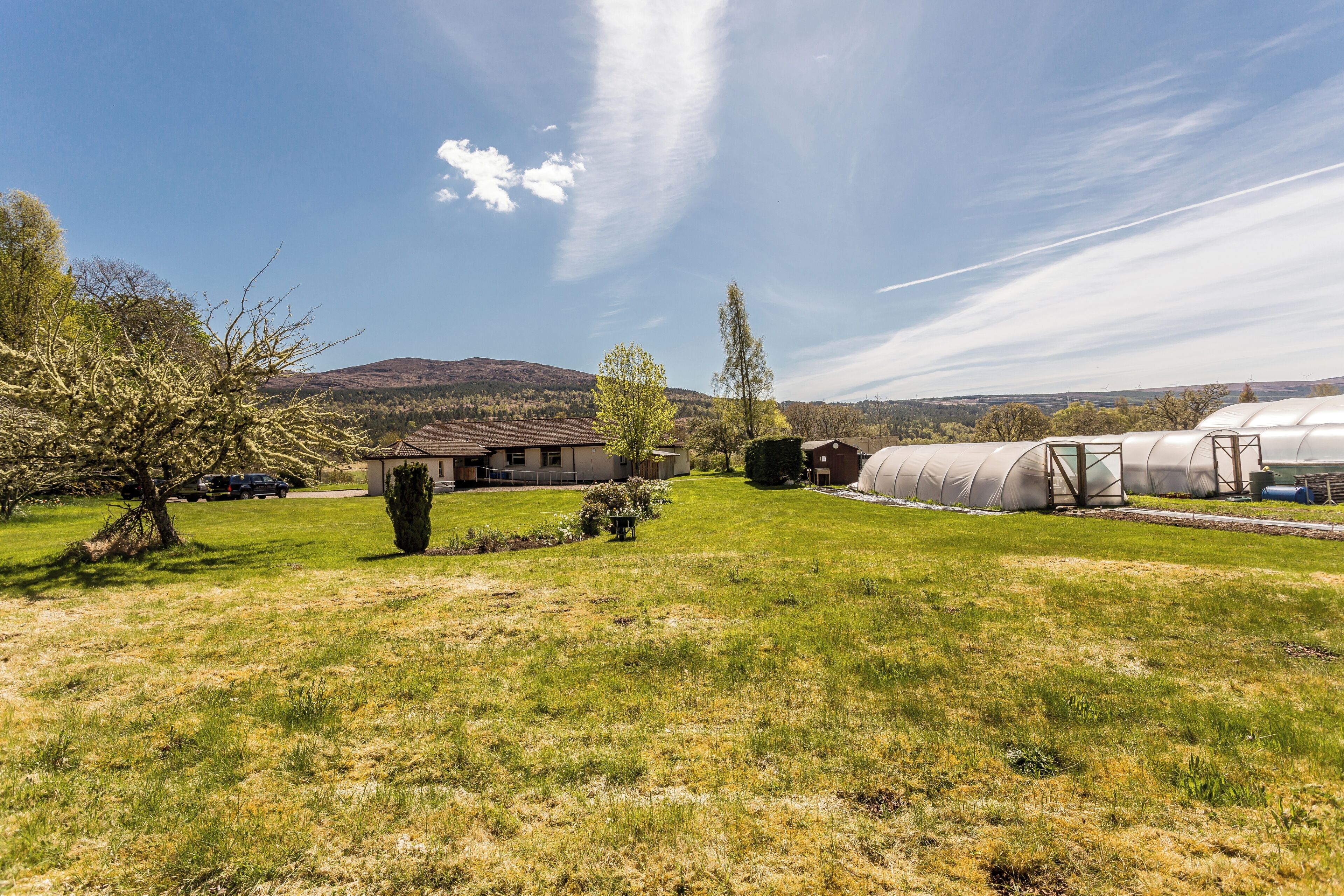 Trees For Life Lodge