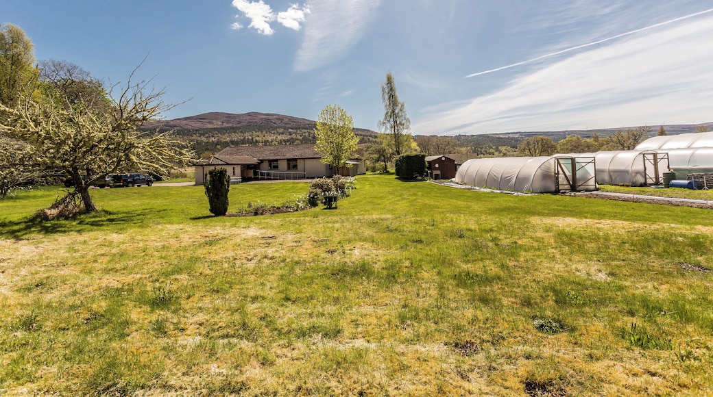 Trees For Life Lodge