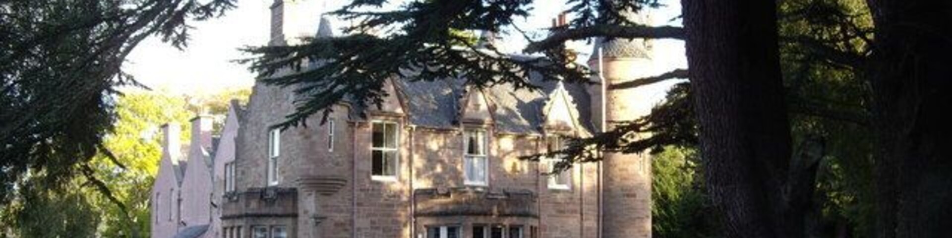 Un gran edificio de piedra con una entrada destacada y un árbol grande al frente.