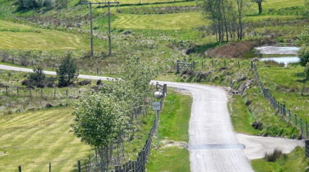 Minor road near Brin Mains.