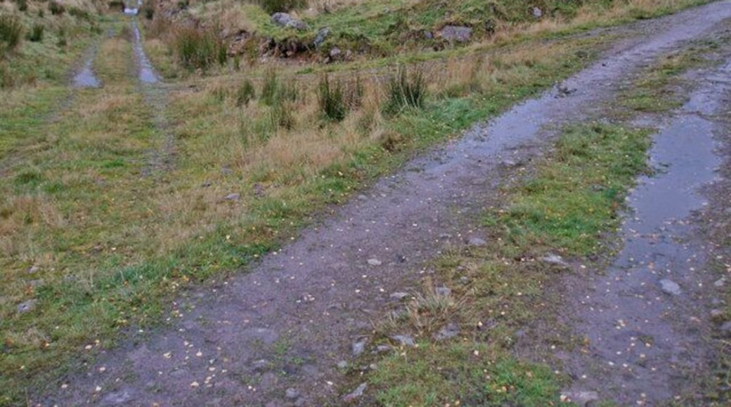 Wade Road Junction The Military road goes straight ahead before disappearing into bog, while the present track branches off to the right.