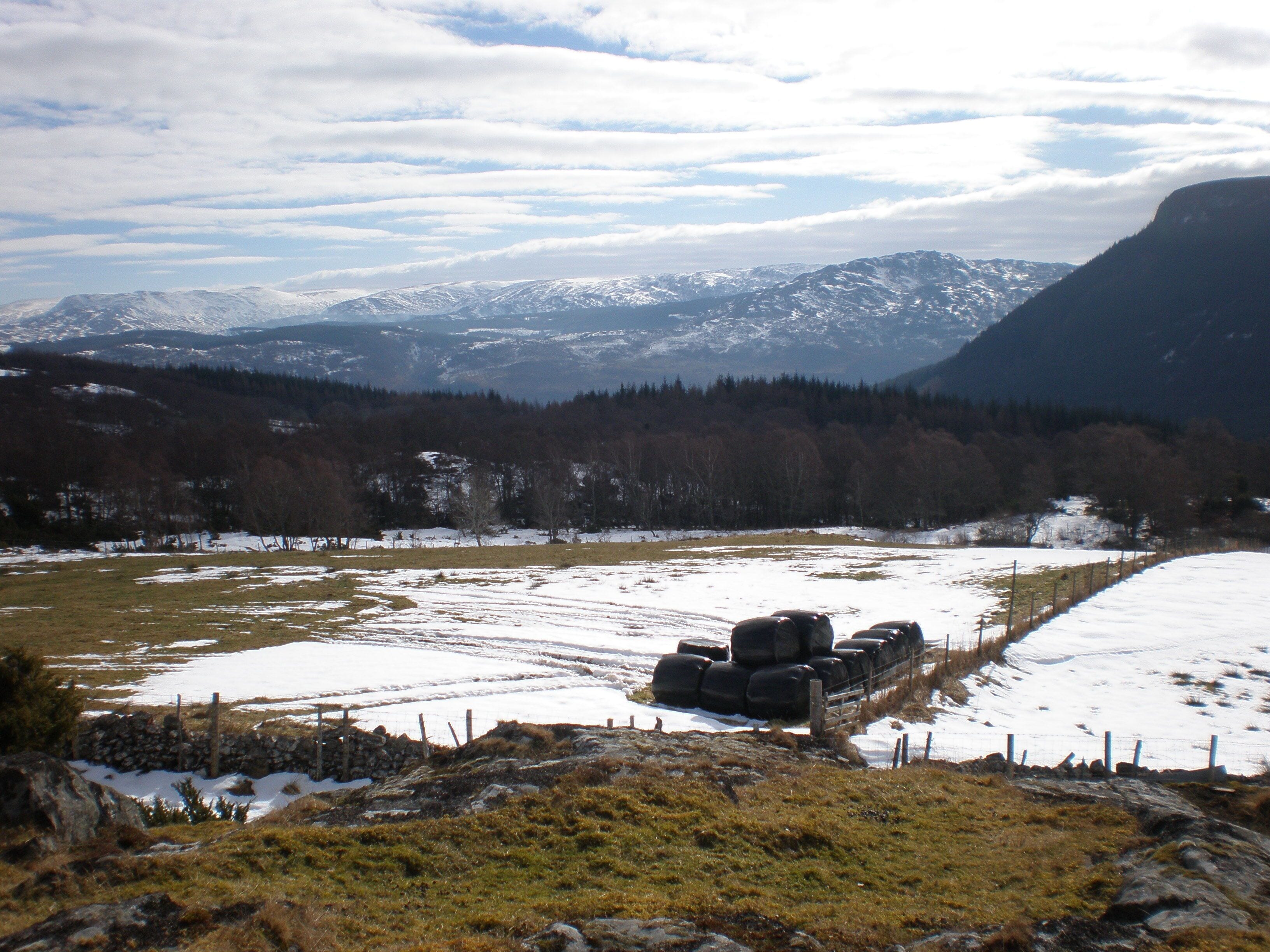 Achnaconeran Croftland from mast