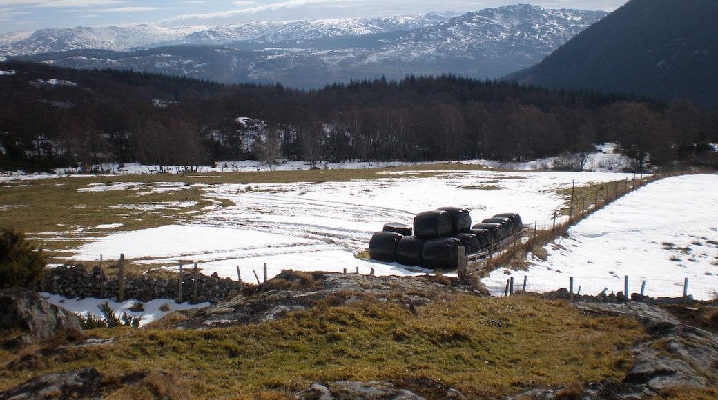 Achnaconeran Croftland from mast