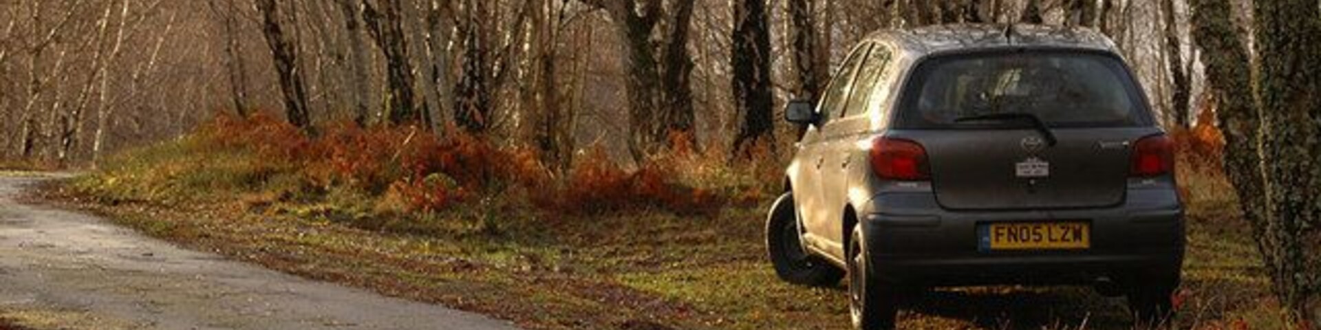 Um carro estacionado em uma estrada rural, cercado por árvores sem folhas.