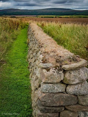 Culloden Battlefield #perspectives #scotland #lifeatexpedia