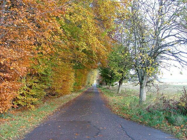 Road to Newton House and Balcarse Farm East of Kirkhill village.
