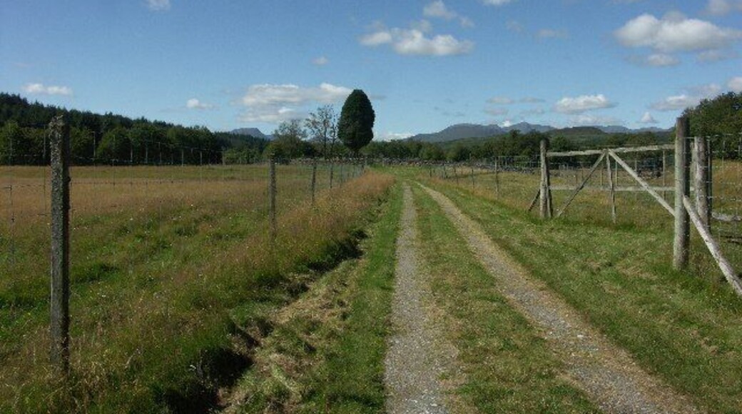 Dalchreichart Old Burial ground. Track to Dalchreichart Old Burial Ground. CANMORE records that there might have been a church dedicated to St Merchard here but no trace now. It took three or four visits to find the Canadian war grave in this burial ground so a photograph could be sent to the Maple Leaf Legacy Project.
