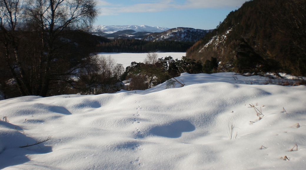 Looking south to Monadhliadh from above Glenlia