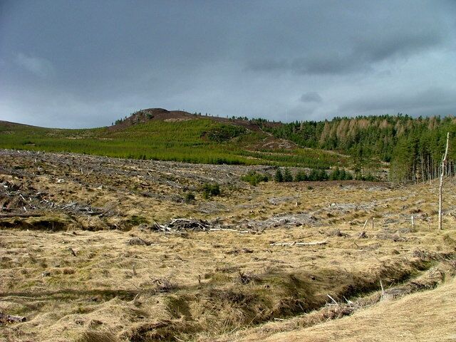 A grassy field with a hill in the background and a forested area.