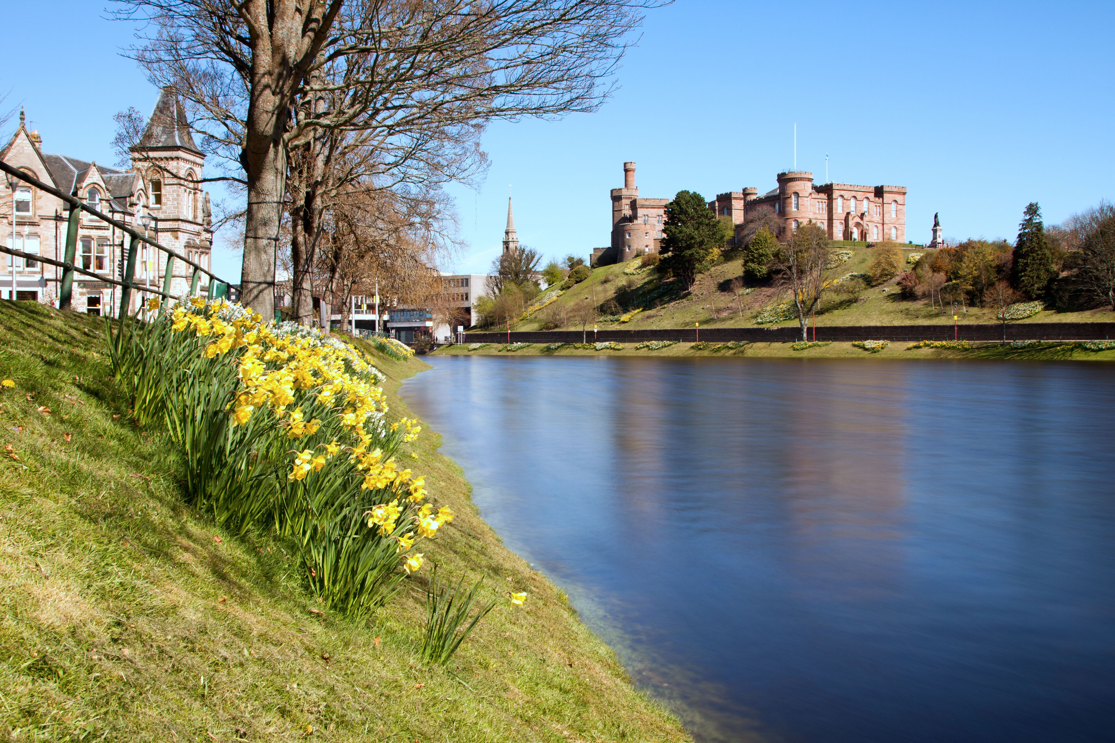 A river with a castle on a hill, a church steeple, and daffodils along the riverbank.