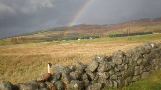 Rainbow over Elrig near East Croachy