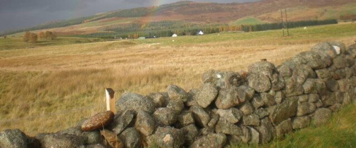 A stone wall, a grassy field, and a rainbow in a rural landscape.