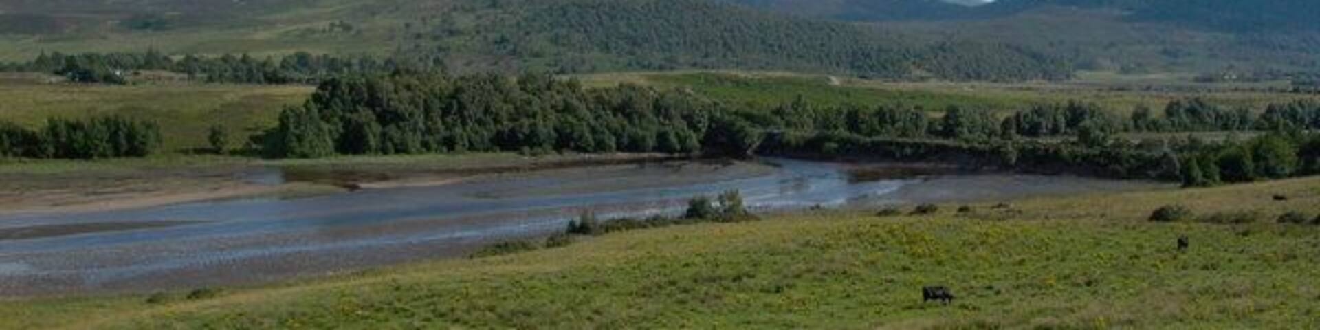 Monadliath hills SE of Lyne of Gorthleck