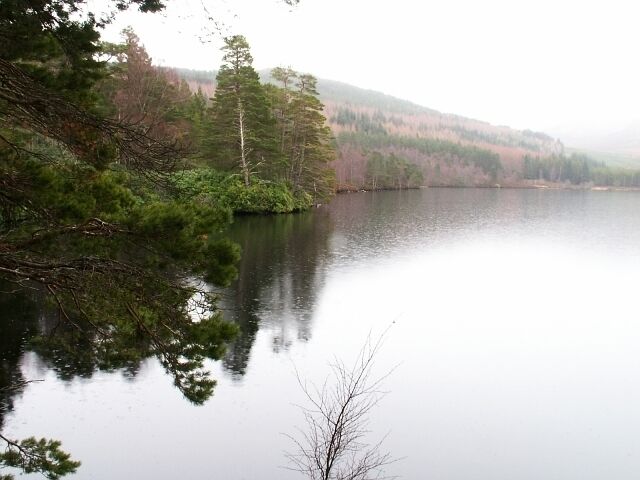 North shore of Loch Farr. Looking due south down Loch Farr on a very wet day. The North shore shown here lies near to Gaich and Farr house.
