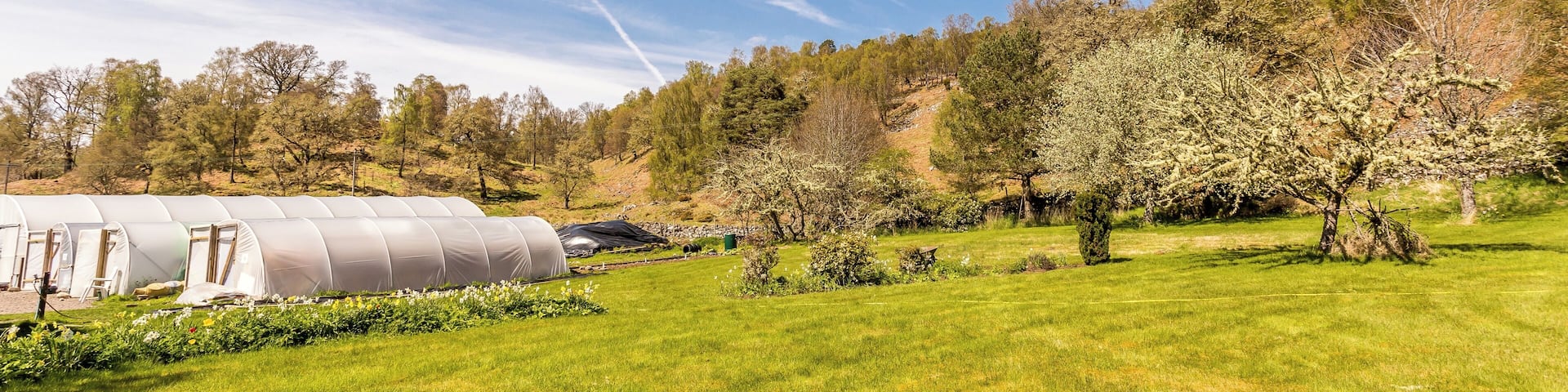 Trees For Life Lodge