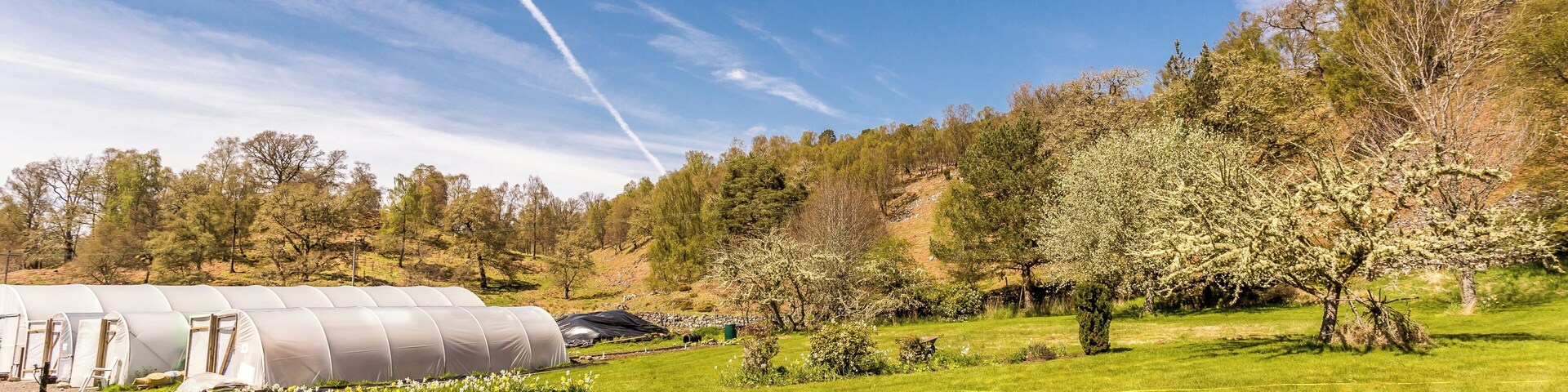 Trees For Life Lodge