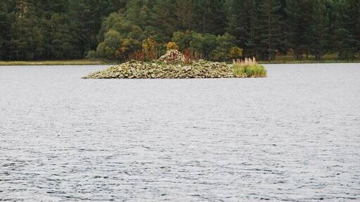 Eilean nan Clach This tiny island is near to the other island with the Monument on in Loch Moy.