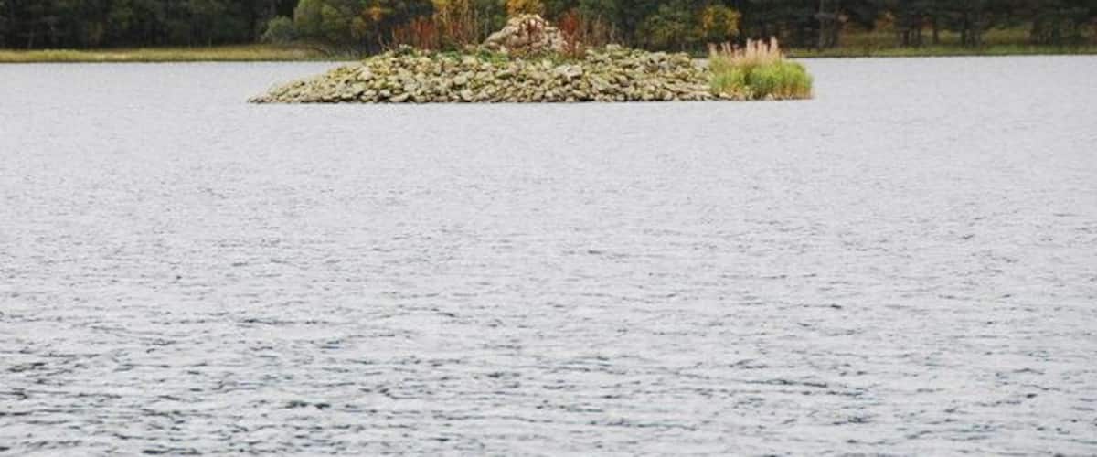 A calm lake with a small island in the center, surrounded by dense forest.