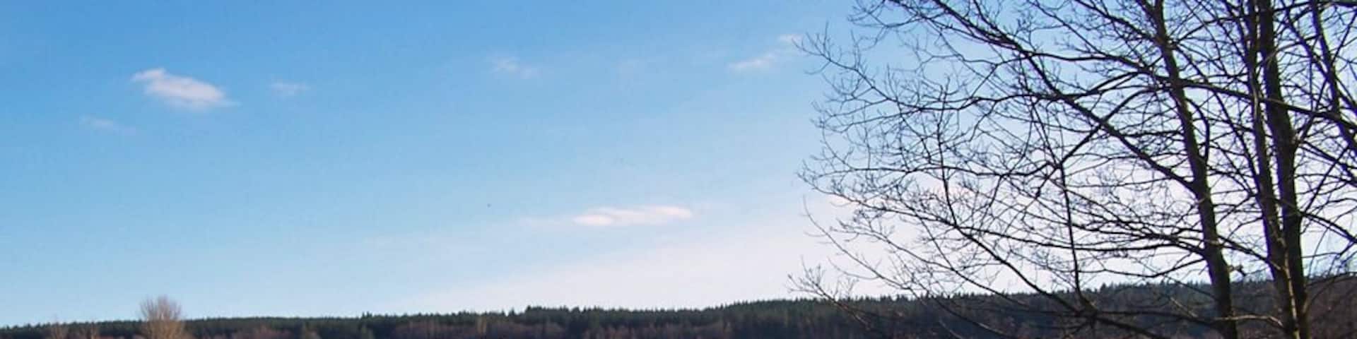 Grazing land at Culloden House Culloden House is now an hotel, but maintains a herd of highland cattle which are much photographed by visitors. There are also some sheep here. The house itself is just out of shot on the far right. The road is Keppoch Road. The green fence on the left surrounds the playing fields of Culloden Academy.