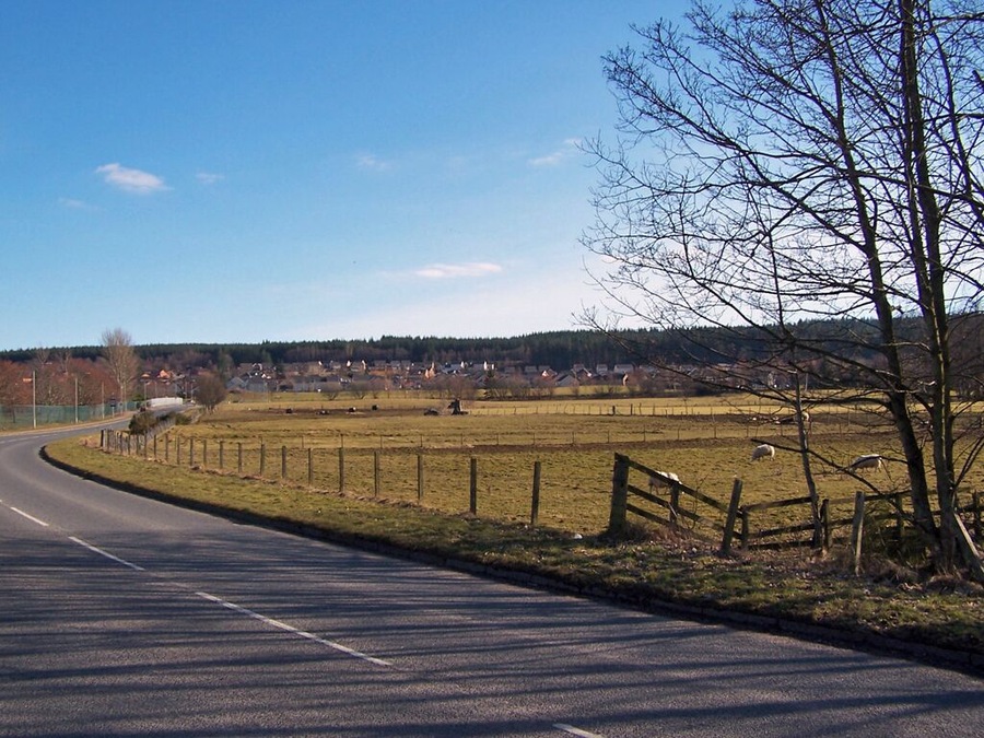 Grazing land at Culloden House Culloden House is now an hotel, but maintains a herd of highland cattle which are much photographed by visitors. There are also some sheep here. The house itself is just out of shot on the far right. The road is Keppoch Road. The green fence on the left surrounds the playing fields of Culloden Academy.