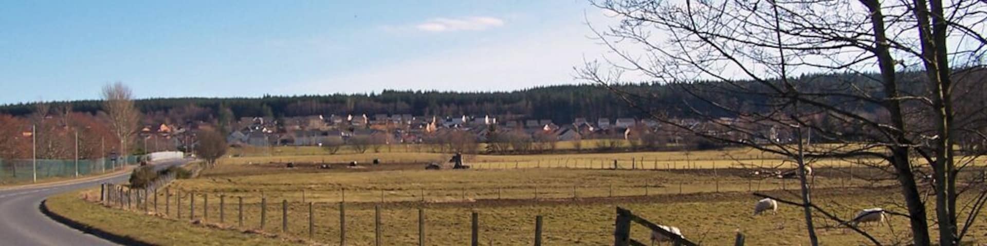 Grazing land at Culloden House Culloden House is now an hotel, but maintains a herd of highland cattle which are much photographed by visitors. There are also some sheep here. The house itself is just out of shot on the far right. The road is Keppoch Road. The green fence on the left surrounds the playing fields of Culloden Academy.