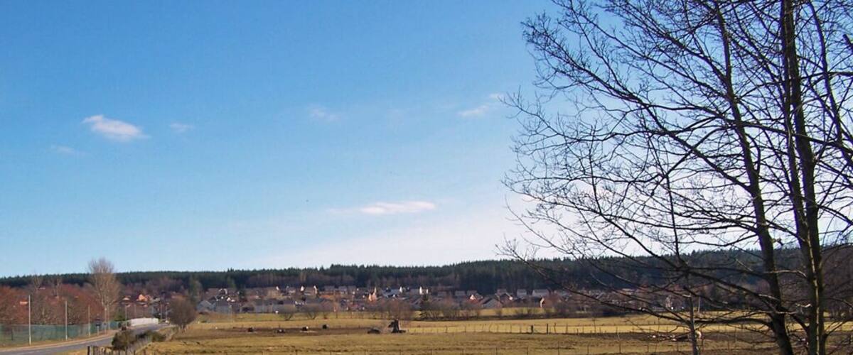 A rural road curving through a landscape with open fields, a fence, and a tree line.