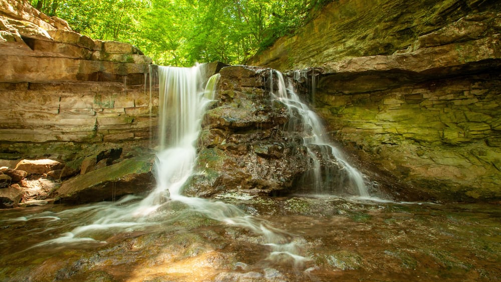waterfall in the forest - Spencer, Indiana - McCormick’s Creek Canyon Falls