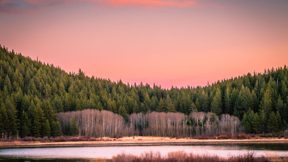 A forested hill with a lake in the foreground.