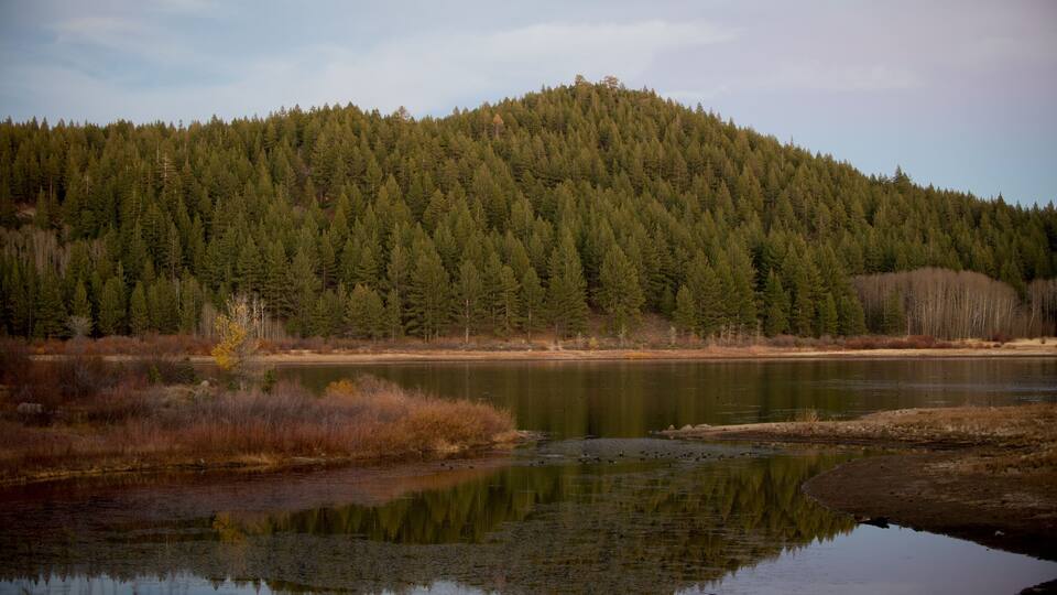 A calm lake surrounded by dense forest and a hill in the background.