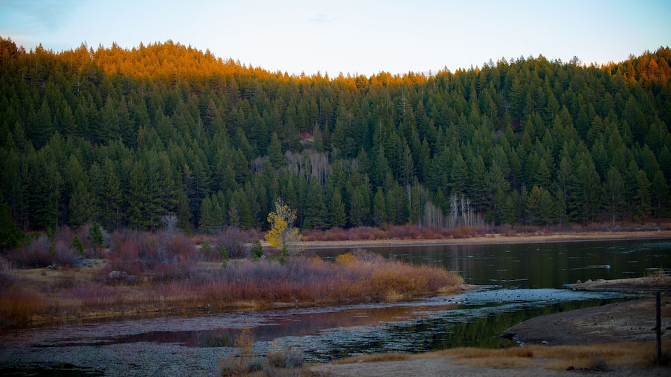 A river with a forested hillside in the background.