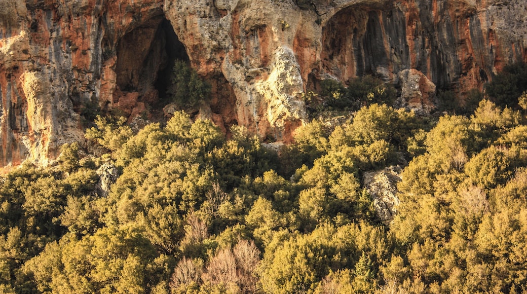 Vikos Aoos National Park
Located about 30 kilometers of Ioannina, this is is the largest National Park of the Greek mainland, with an area of 2.000 km2. Plenty of interconnecting footpaths of many levels of expertise that link stone villages tucked into folds of mountains.