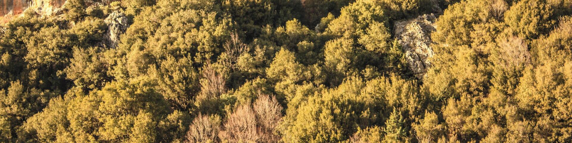 Vikos Aoos National Park
Located about 30 kilometers of Ioannina, this is is the largest National Park of the Greek mainland, with an area of 2.000 km2. Plenty of interconnecting footpaths of many levels of expertise that link stone villages tucked into folds of mountains.