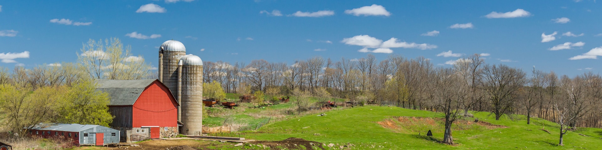 Barn, Pasture and Livestock on Farm in St. Croix County, Wisconsin
