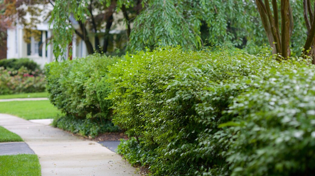 Spring Valley có tính năng công viên