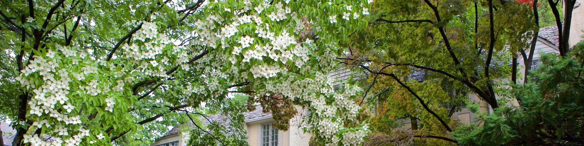 Spring Valley das einen Garten und Haus