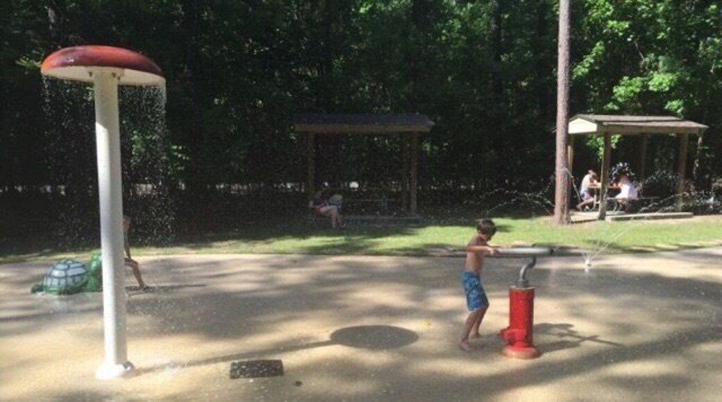 Visit Frugal Family Travelers blog to learn more about this great location, to receive the travel itinerary and to discover more great places like this:
Tickfaw State Park
http://frugalfamilytravelers.blogspot.com/2015/07/a-great-place-for-summer-fun-on.html
Follow us on:
Facebook: https://www.facebook.com/frugalfamilytravelers?ref=hl
Twitter: @FrugalFamTrav