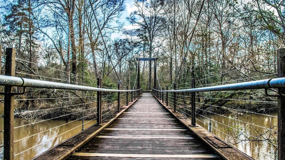 Tickfaw State Park is recognized as one of 110 sites on the Louisiana Natural Areas Register... a great place to hike!